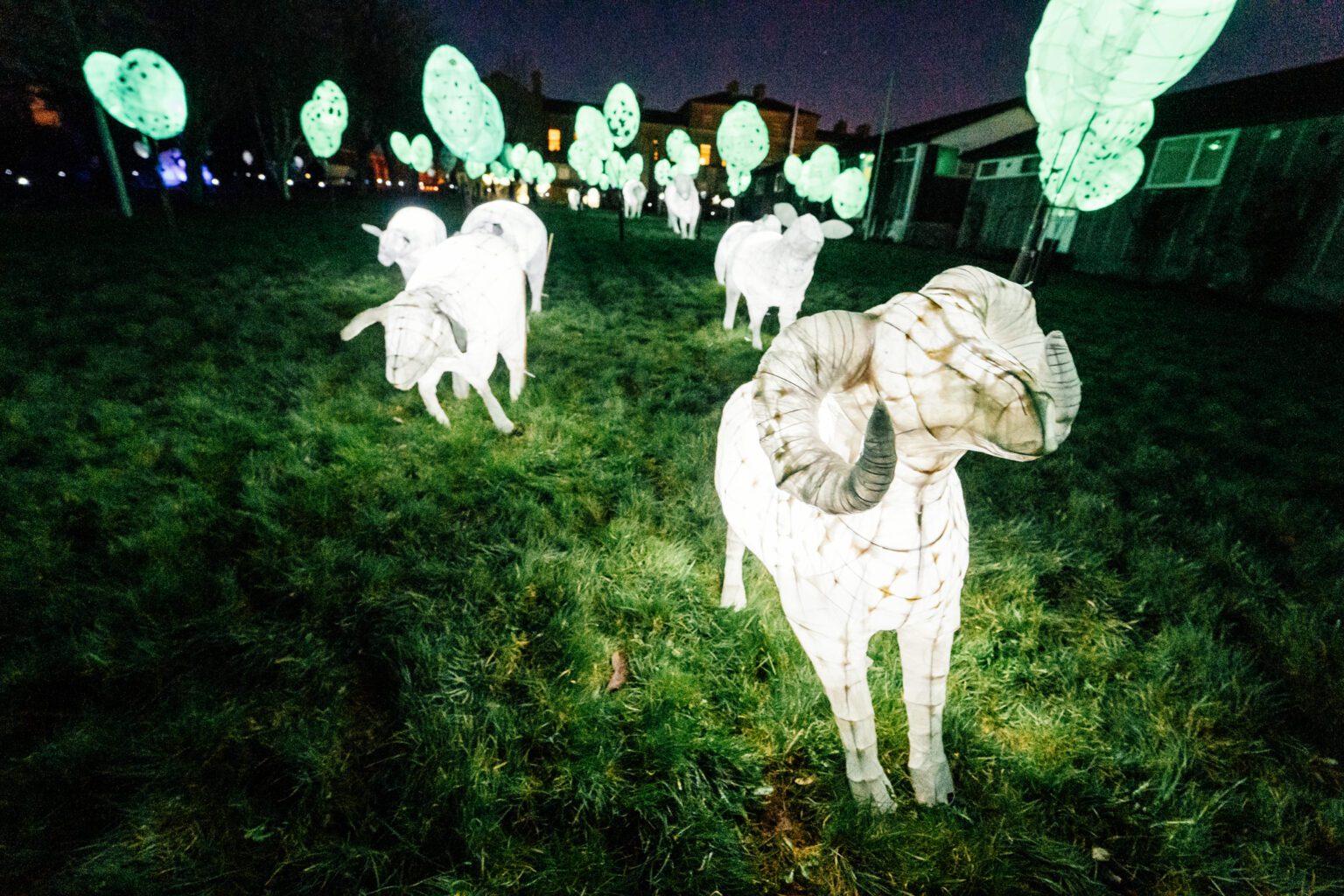 Excitement builds for Longford Lights Festival 2024, as new director